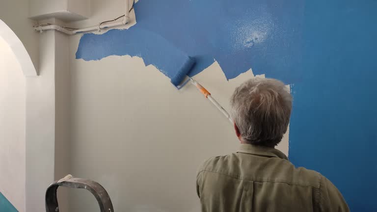 Best Drywall Removal and Disposal  in Kaukauna, WI